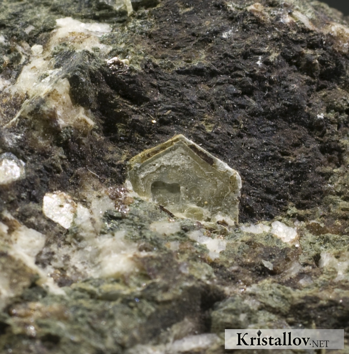 Псевдоморфоза повеллита по молибдениту